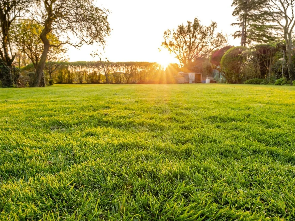 Baugebiet Langen Ehlern